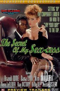 Secret Of My Sex cess 1988